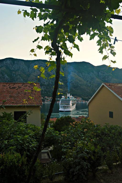 Apartments Bucin Kotor Extérieur photo